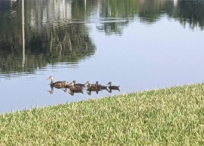 Port Saint Lucie A Little Piece Of Heaven- Peaceful Lake View Apartment- 1 Min From I95 And Turnpike